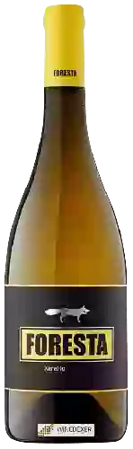 Wijnmakerij Foresta - Xarel-lo
