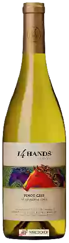 Wijnmakerij 14 Hands - Pinot Gris (Pinot Grigio)