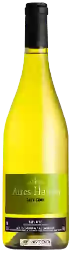 Domaine des Aires Hautes - Sauvignon