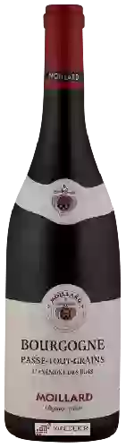 Wijnmakerij Moillard - Bourgogne Passetoutgrain L'Anémone des Bois