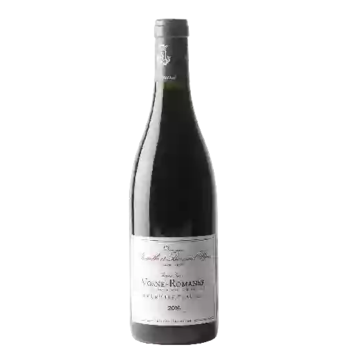 Wijnmakerij Nicolas Potel - Vosne-Romanée 1er Cru Les Chaumes