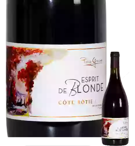 Wijnmakerij Pierre Gaillard - Côte-Rôtie Brune et Blonde