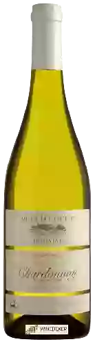 Wijnmakerij Puech Cocut - Chardonnay