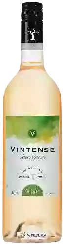 Wijnmakerij Vintense - Sauvignon