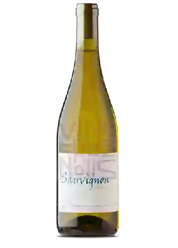 Wijnmakerij Frantz Saumon - Sauvignon - Chenin