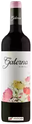 Wijnmakerij Galerna - Garnacha