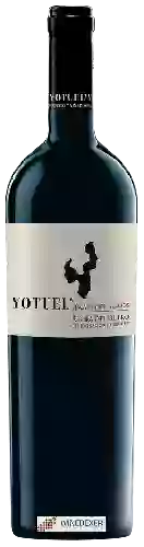 Wijnmakerij Gallego Zapatero - Yotuel Finca de Valdepalacios