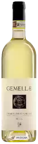 Wijnmakerij Gallura - Gemellae Vermentino di Gallura