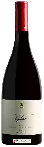 Wijnmakerij Gambino Vini - Tifeo Etna Rosso