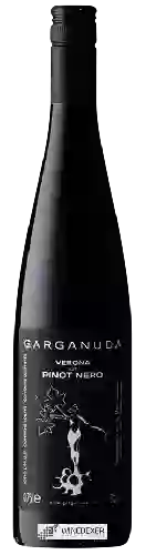 Wijnmakerij Garganuda - Pinot Nero