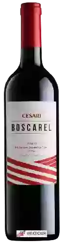 Wijnmakerij Cesari - Boscarel Veneto