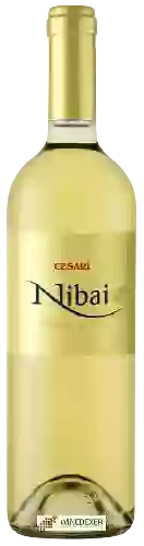 Wijnmakerij Cesari - Nibai Soave Classico
