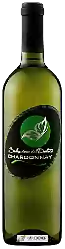 Wijnmakerij Gino Brisotto - Chardonnay (Selezione del Dottore)