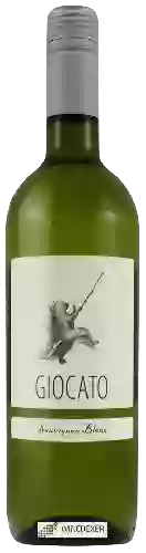 Wijnmakerij Giocato - Sauvignon Blanc