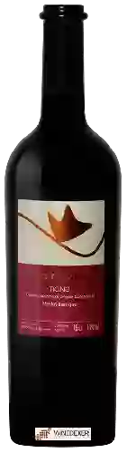 Wijnmakerij Theilervini - Gioia d'Autunno Merlot Barrique