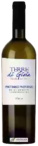 Wijnmakerij Terre di Gioia - Pinot Bianco - Pinot Grigio delle Venezie