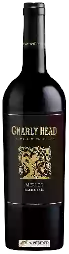 Wijnmakerij Gnarly Head - Merlot