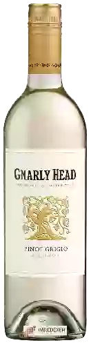 Wijnmakerij Gnarly Head - Pinot Grigio