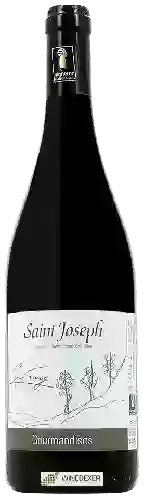 Domaine Guy Farge - Gourmandises Saint Joseph