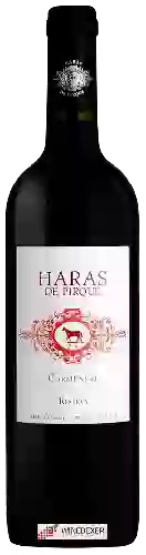 Wijnmakerij Haras de Pirque - Carmenère Reserva