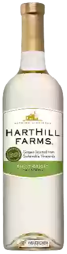 Wijnmakerij Harthill Farms - Pinot Grigio