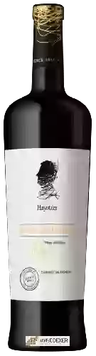 Wijnmakerij Hayotzer - Special Edition Cabernet Sauvignon