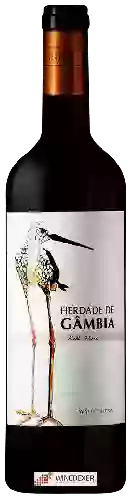 Wijnmakerij Herdade de Gâmbia - Tinto