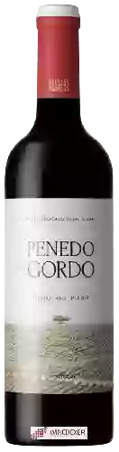 Wijnmakerij Herdade Penedo Gordo - Penedo Gordo Tinto