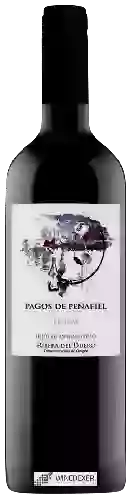 Wijnmakerij Hijos de Antonio Polo - Pagos de Peñafiel Crianza