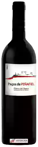 Wijnmakerij Hijos de Antonio Polo - Pagos de Peñafiel Selection