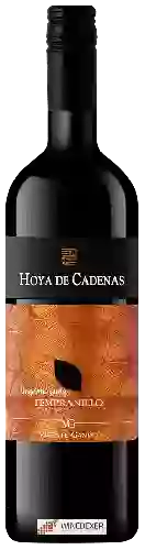 Wijnmakerij Hoya de Cadenas - Organic Tempranillo