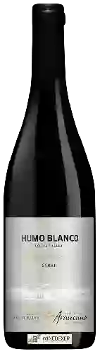 Wijnmakerij Humo Blanco - Syrah (Edici&oacuten Limitada)