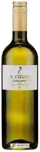 Wijnmakerij Il Cigno - Chardonnay