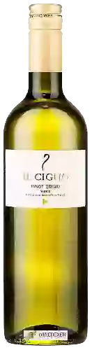 Wijnmakerij Il Cigno - Pinot Grigio