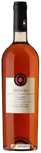 Wijnmakerij Il Cortiglio - Irpinia Rosato