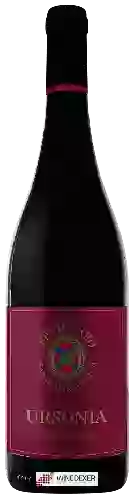 Wijnmakerij Il Feuduccio - Ursonia Montepulciano d'Abruzzo