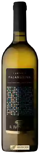 Wijnmakerij Il IV Miglio - Falanghina