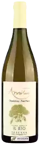 Wijnmakerij Il Rio - Annita Chardonnay - Pinot Nero