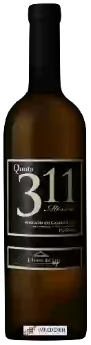 Wijnmakerij Il Teatro del Vino - Quota 311 Verdicchio dei Castelli di Jesi Classico