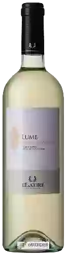 Wijnmakerij I Lauri - Lume Trebbiano d'Abruzzo