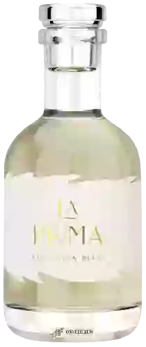 Wijnmakerij In Good Taste Wines - La Pluma Sauvignon Blanc