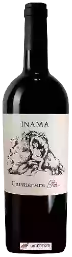 Wijnmakerij Inama Azienda Agricola - Carmenérè Piu