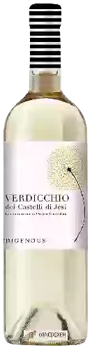 Wijnmakerij Indigenous - Verdicchio dei Castelli di Jesi