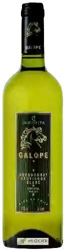 Wijnmakerij Indomita - Galope Chardonnay - Sauvignon Blanc