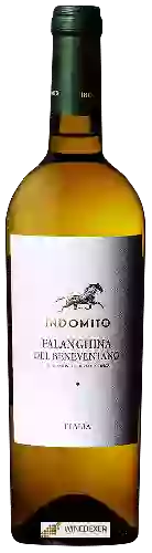 Wijnmakerij Indomito - Falanghina del Beneventano