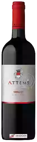 Wijnmakerij Attems - Merlot