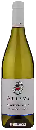 Wijnmakerij Attems - Sauvignon Blanc