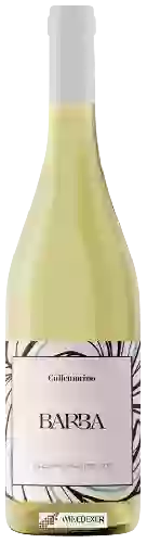 Wijnmakerij Barba - Colle Morino Trebbiano d'Abruzzo