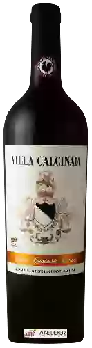 Wijnmakerij Conti Capponi - Villa Calcinaia - Vigna Contessa Luisa Chianti Classico Gran Selezione