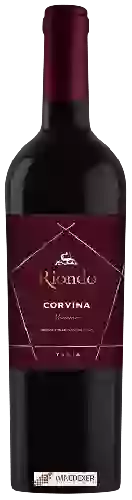 Wijnmakerij Riondo - Vinea Corvina Veronese